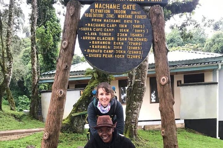 1-Day Kilimanjaro Hike on the Machame Route: Rainforest to Shira Plateau photo 4