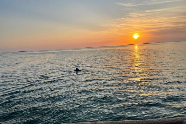 Private Islamorada Sunset Cruise: Tiki Pontoon Sunset & Dolphin Watching photo 5