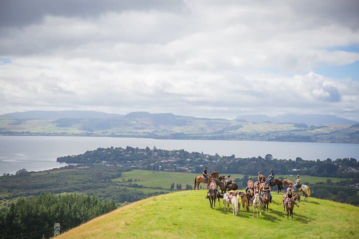Guided Horse Trekking on Mount Ngongotaha — Rotorua Countryside Ride photo 3