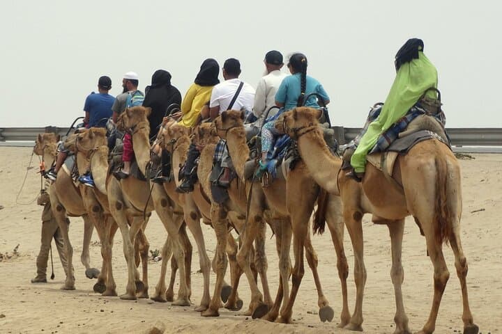 Agafay Desert Sunset Camel Ride from Marrakech with Free Tea photo 6