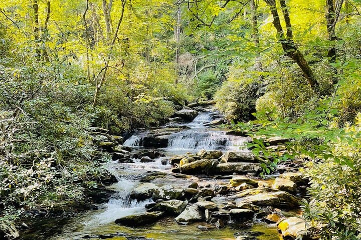 Smoky Mountains Newfound Gap Jeep Tour — Pigeon Forge to 5,000-Foot Views photo 5