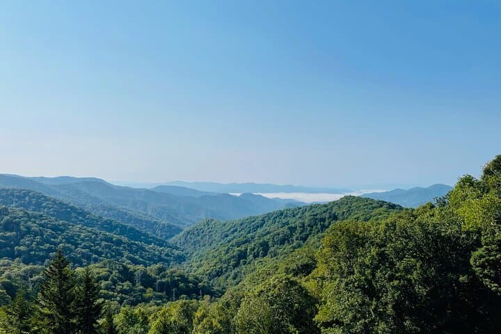 Smoky Mountains Newfound Gap Jeep Tour — Pigeon Forge to 5,000-Foot Views photo 6
