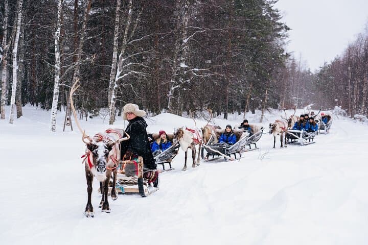 Apukka Reindeer Journey: Reindeer Sleigh Ride & Lappish Hut Experience in Rovaniemi photo 3
