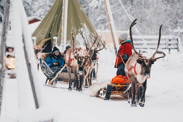 Apukka Reindeer Journey: Reindeer Sleigh Ride & Lappish Hut Experience in Rovaniemi photo 4
