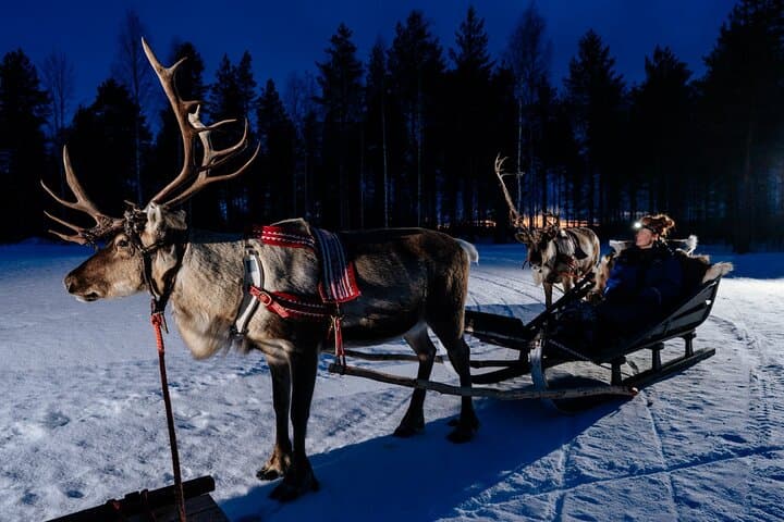 Reindeer Sleigh Ride Under the Northern Lights at Apukka Resort, Rovaniemi photo 3