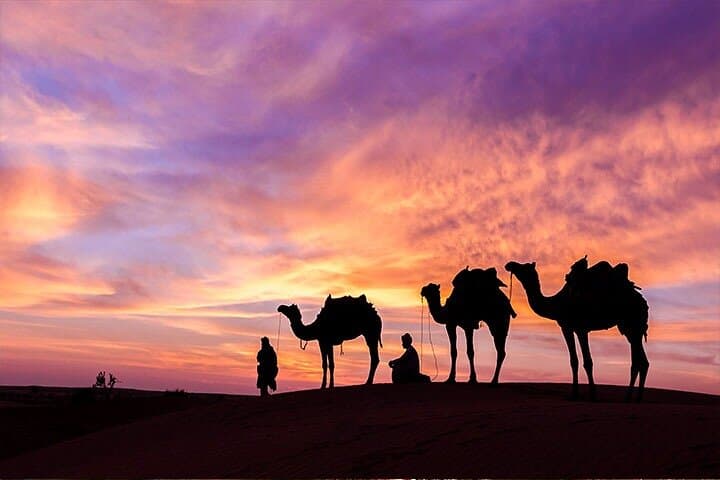 Wadi Rum to Dead Sea: Private Full-Day Jeep Tour & Float from Amman photo 4