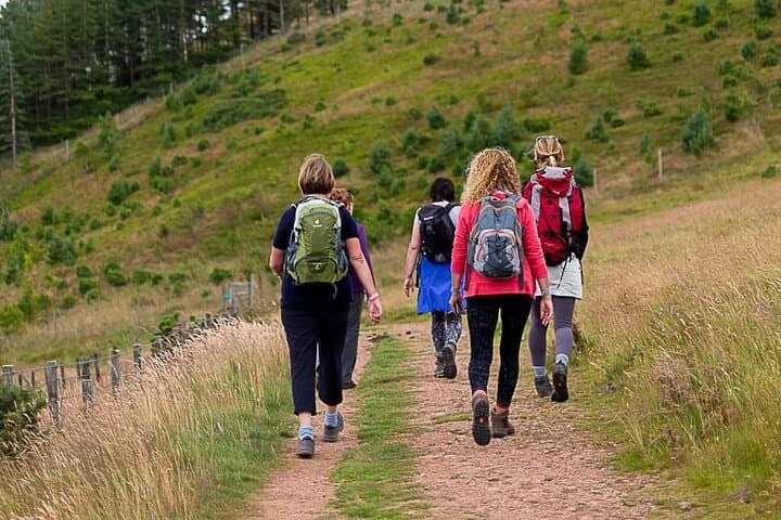 Mindful Walks on Arthur's Seat: Guided Nature & Meditation in Edinburgh photo 5