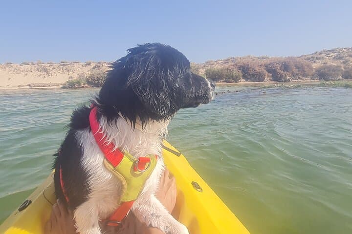 Half-Day Private Kayak Tour in Ria Formosa Natural Park (Faro) photo 3