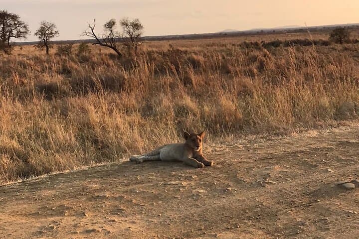 Tarangire Day Safari from Arusha: Elephants, Baobabs & River Game Drives photo 2