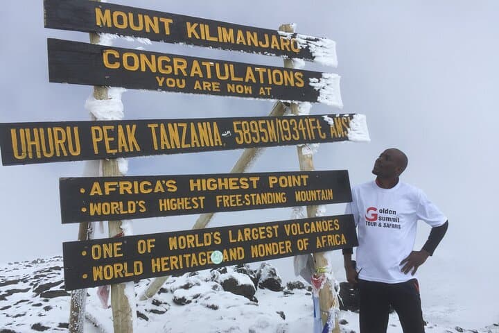 7-Day Machame Route: Kilimanjaro Summit Trek from Moshi to Uhuru Peak