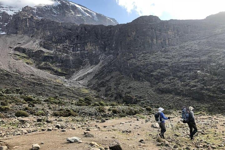 6-Day Marangu Route Kilimanjaro: Hut-to-Summit Trek via the Coca-Cola Route photo 3