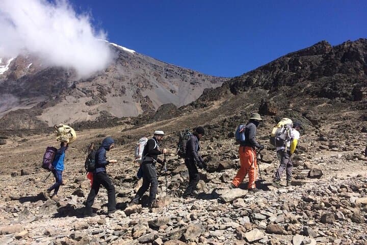 Climb Kilimanjaro on the 5-Day Marangu Route: Rainforest to Uhuru Peak photo 3