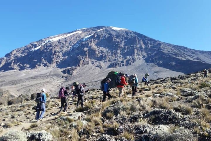 7-Day Rongai Route Kilimanjaro Trek: Kenyan Approach to Uhuru Peak photo 3