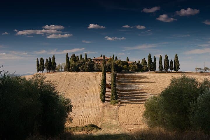 Private Chianti Wine Tour from Florence: Half-Day Tasting & Panzano Visit
