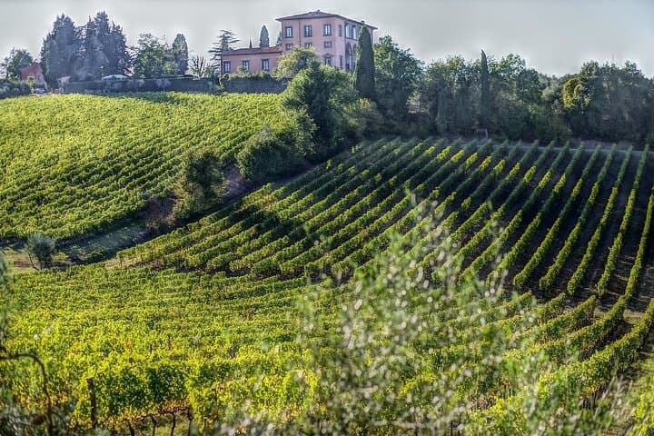 Private Chianti Wine Tour from Florence: Half-Day Tasting & Panzano Visit photo 6