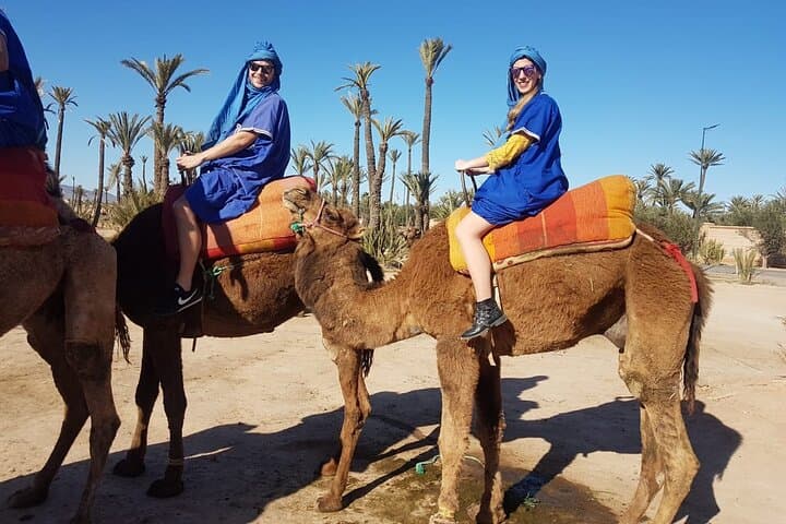 Camel Ride Through Marrakech's Palm Groves — Half-Day Cultural Safari photo 5