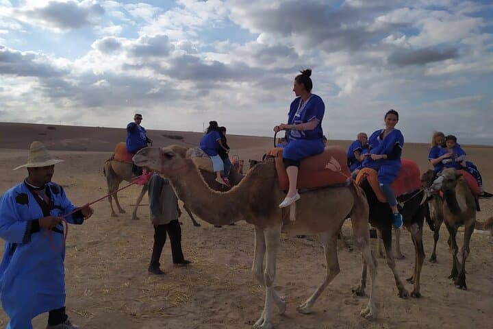 Camel Ride Through Marrakech's Palm Groves — Half-Day Cultural Safari photo 6