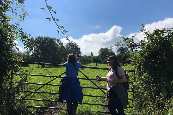 Glastonbury Tree Walk: Guided Nature Stroll, Poetry & Tor Climb photo 6