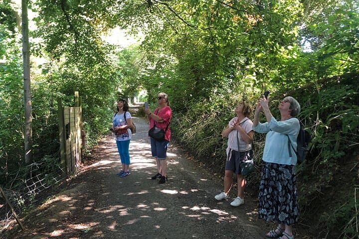 Glastonbury Tree Walk: Guided Nature Stroll, Poetry & Tor Climb photo 3