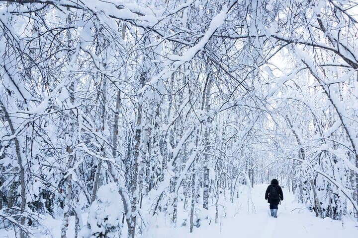 Snowshoe Trekking and Ice Fishing in Rovaniemi — Grill Your Catch on a Frozen Lake photo 3