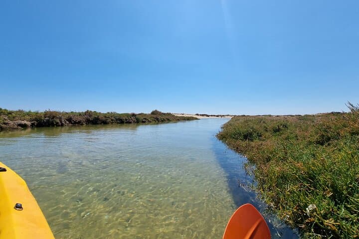 Private Kayak Birdwatching Tour in Ria Formosa (Faro) photo 3