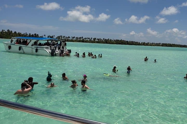 Full-Day Saona Island Catamaran & Speedboat Tour from Punta Cana