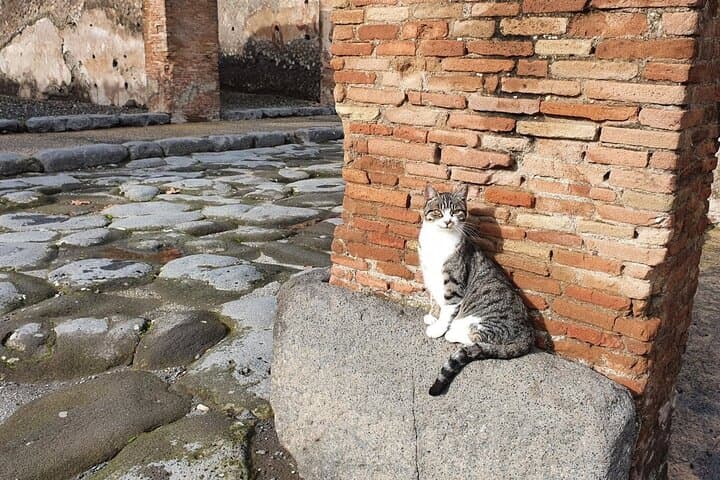 Exploring Pompeii: Guided Tour & Vintage Van Transfer photo 3