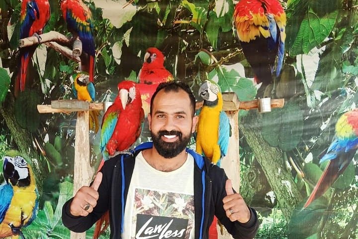 Private Safari at Africano Park Alexandria — Day Trip from Cairo photo 3