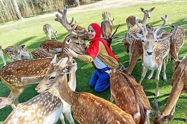 Private Safari at Africano Park Alexandria — Day Trip from Cairo