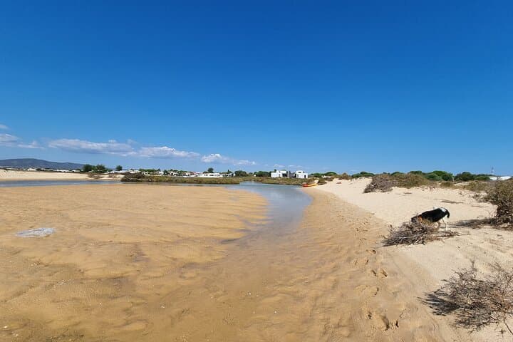 Half-Day Private Kayak Tour in Ria Formosa Natural Park (Faro) photo 4