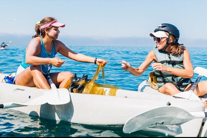 La Jolla Sea Cave Kayak Tour: 90-Min Guided Paddle Through the Seven Caves photo 3