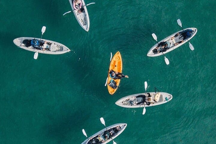 La Jolla Sea Cave Kayak Tour: 90-Min Guided Paddle Through the Seven Caves photo 4