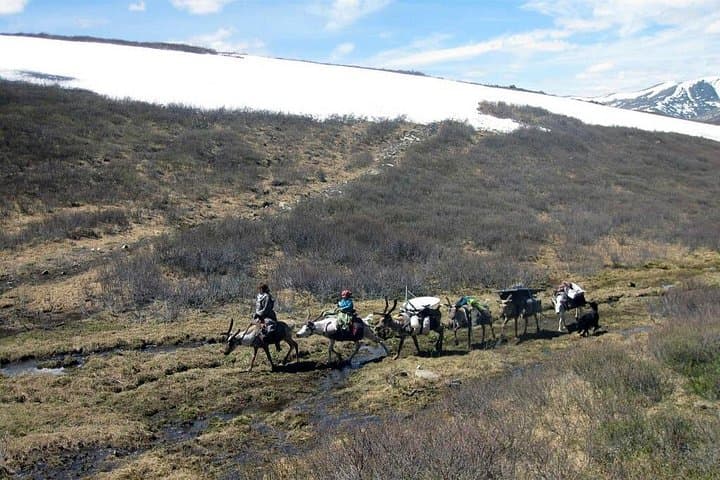 Explore Mongolia's Gobi Desert: Multi-Day 4x4, Camel & Horseback Tours photo 2