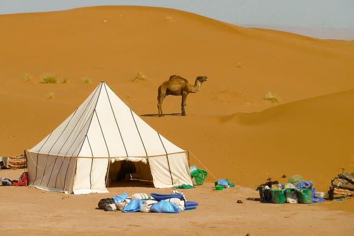 5-Day Desert Hiking Adventure from Merzouga — Erg Chebbi Multi-Day Trek photo 4