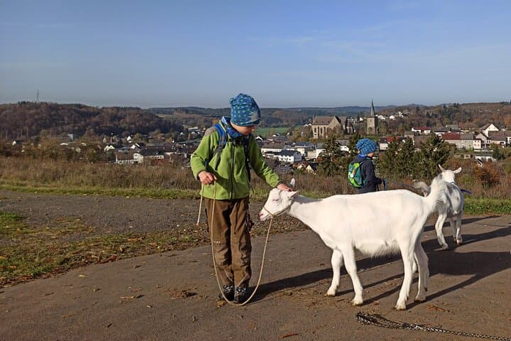 Goat Hike at Vulkanhof Gillenfeld — Walk with Goats in Vulkaneifel Geopark photo 4