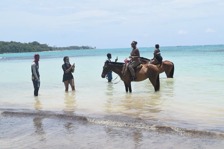 Montego Bay to Ocho Rios: Horseback Ride and Blue Hole Adventure photo 2