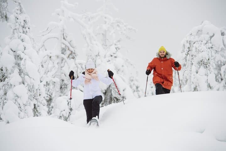 Arctic Snowshoe Trek Along Viiksjärvi with Campfire BBQ from Rovaniemi photo 3
