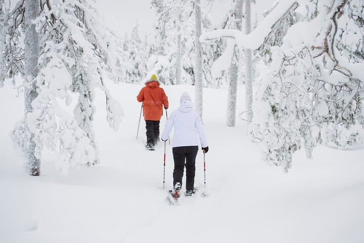 Arctic Snowshoe Trek Along Viiksjärvi with Campfire BBQ from Rovaniemi photo 4