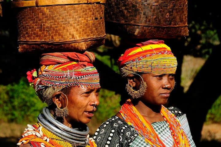 Vizag to Nagpur Tribal Communities & Tiger Safari — 9-Day Cultural & Wildlife Expedition
