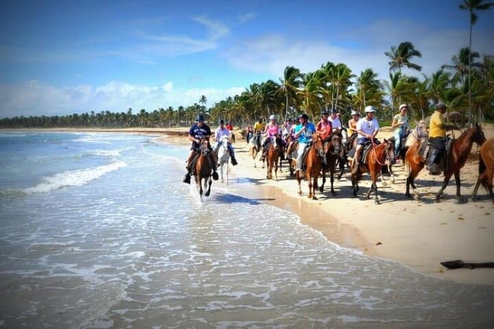 Horseback Riding on Macao & Uvero Alto Beaches — Punta Cana Coastal Ride photo 4