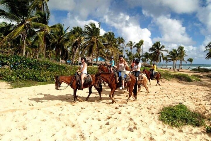 Horseback Riding on Macao & Uvero Alto Beaches — Punta Cana Coastal Ride photo 5