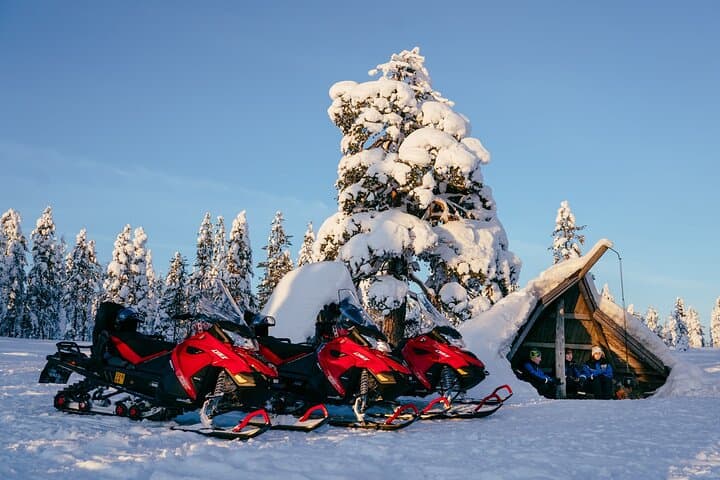 Snowmobile & Reindeer Safari: Cross the Arctic Circle from Rovaniemi photo 2