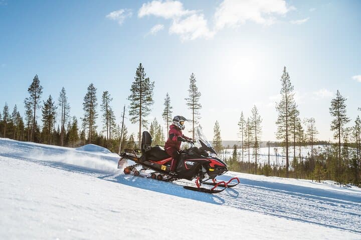 Snowmobile & Reindeer Safari: Cross the Arctic Circle from Rovaniemi
