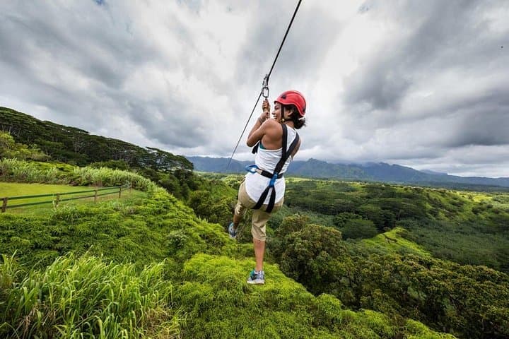 Punta Cana Zipline Adventure: 8-Line Canopy Tour Over Palm Hills photo 2