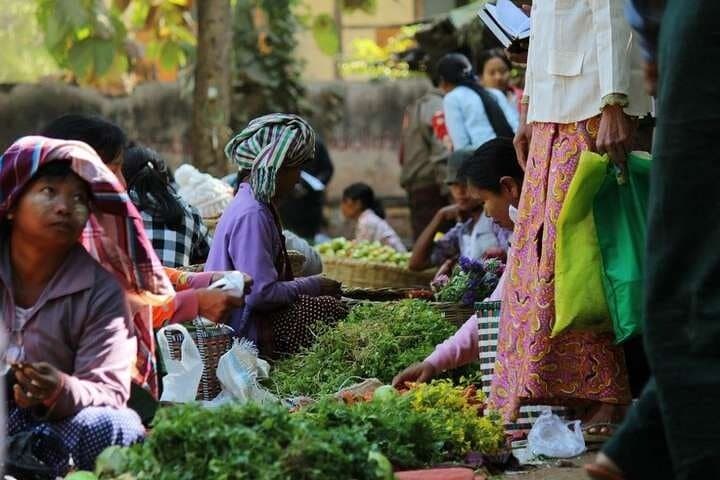 Toddy Climber Experience in Shwehlaing: Village Visit & Toddy Palm Demonstration near Bagan photo 3