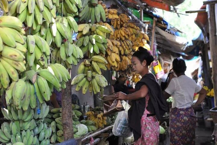 Toddy Climber Experience in Shwehlaing: Village Visit & Toddy Palm Demonstration near Bagan photo 6