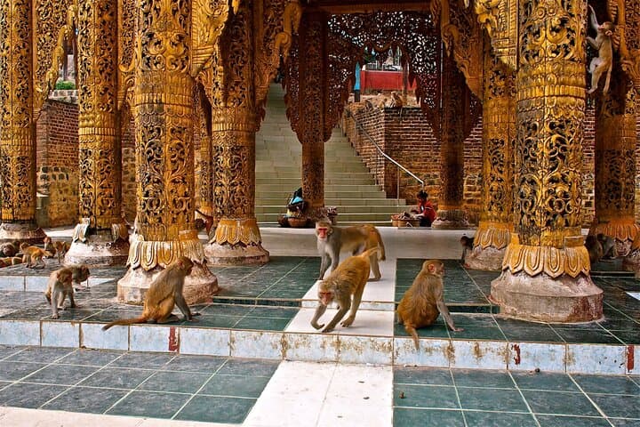 Mount Popa Tour: Climb the 777 Steps to the Volcanic Monastery Overlooking Bagan photo 5