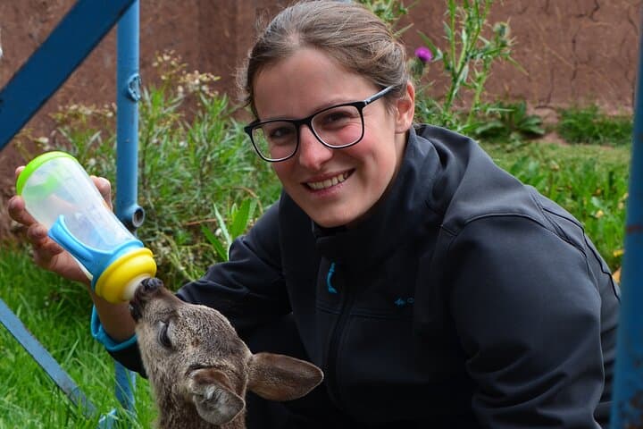 Volunteer at Cochahuasi Sanctuary Near Cusco — Half-Day Rescue & Feeding Experience photo 5