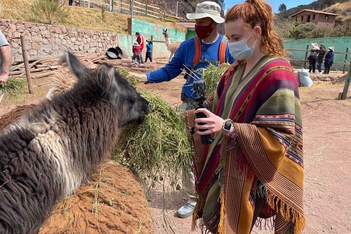 Volunteer at Cochahuasi Sanctuary Near Cusco — Half-Day Rescue & Feeding Experience