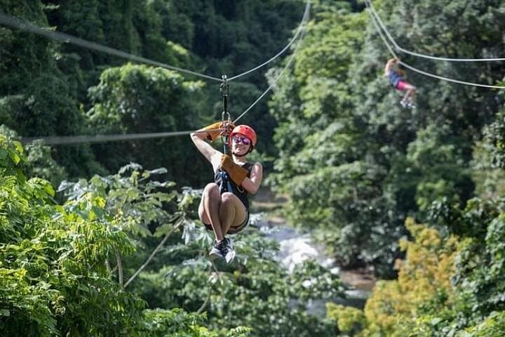 Punta Cana Zipline Adventure: 8-Line Canopy Tour Over Palm Hills photo 5